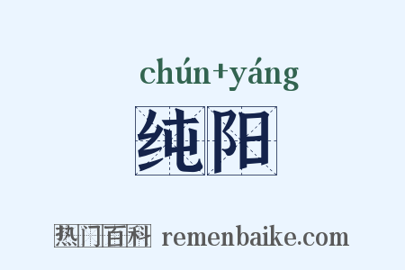 纯阳是什么意思的图片